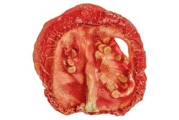 Natural Dried Tomato Slices