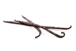 Vanilla Bean Pod