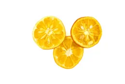 Natural Dried Bitter Orange Slices