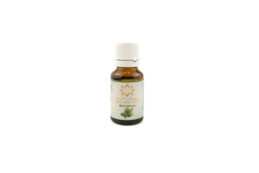 Mint Extract
